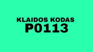 P0113 klaidos kodas: kodėl variklis mato -40°C šaltį?